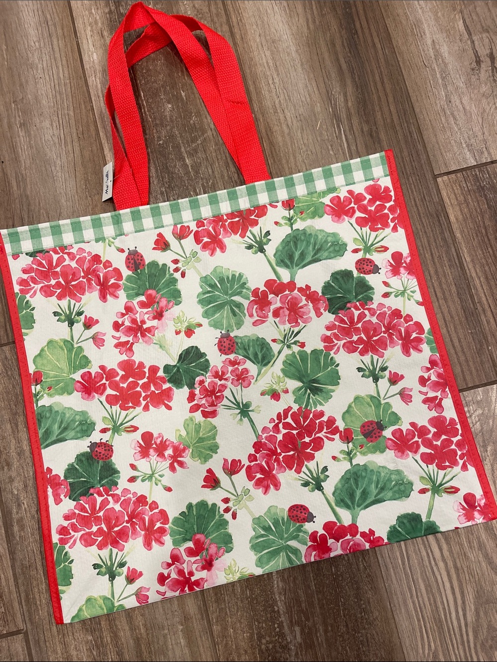 Marshalls 🐞Ladybug 🐞Floral Tote with Red Trim and Green Leaves